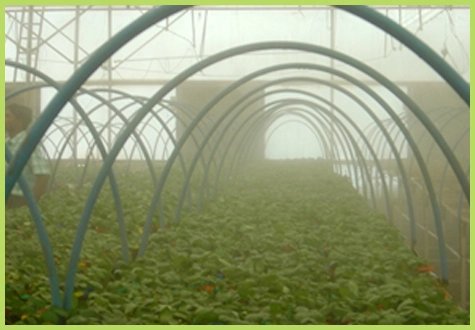 Venkateshwara Agrotech Industries