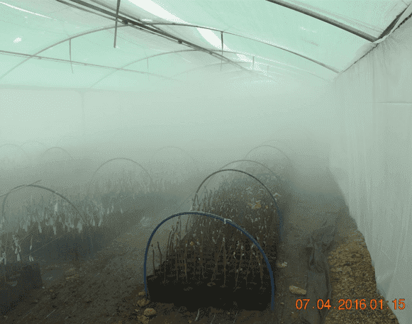 Outdoor Misting Systems