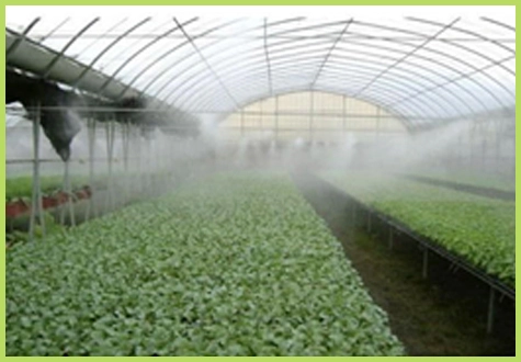 Venkateshwara Agrotech Industries