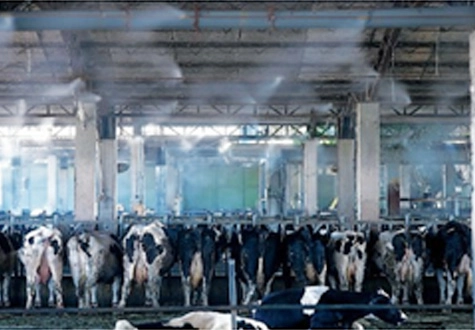 Venkateshwara Agrotech Industries