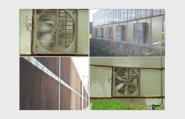 Venkateshwara Agrotech Industries