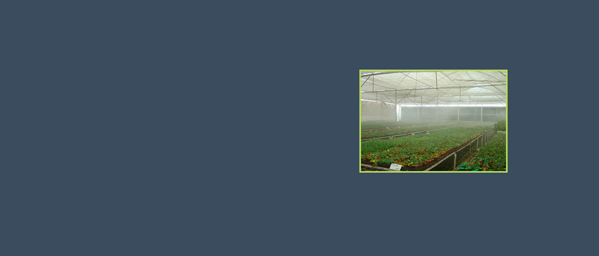  Commercial Misting System in India